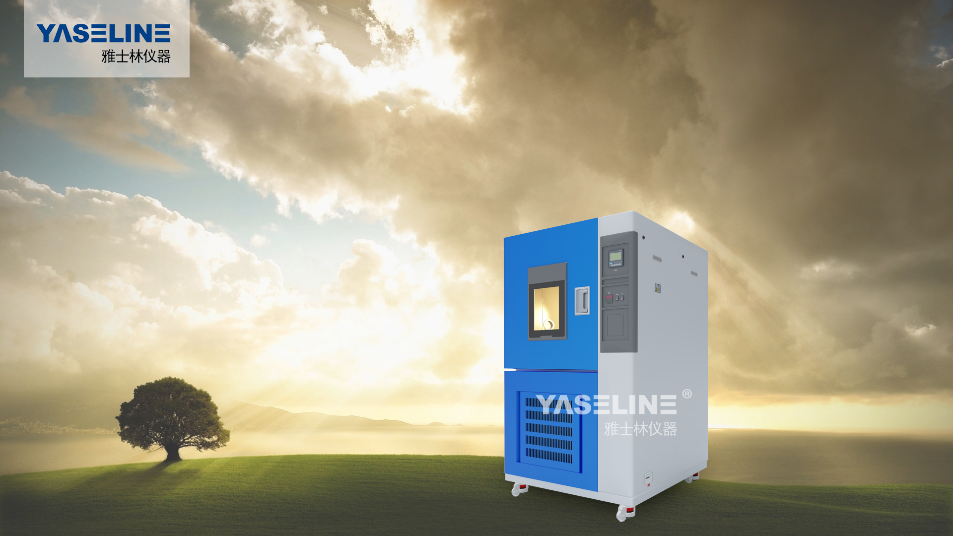 �ߵ���������